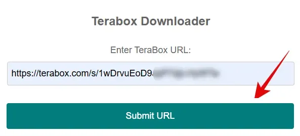 TeraBox Downloader