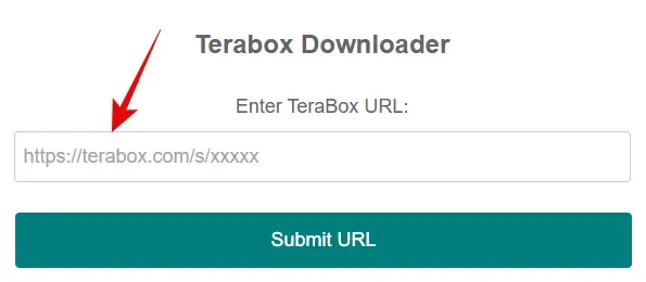 TeraBox Downloader